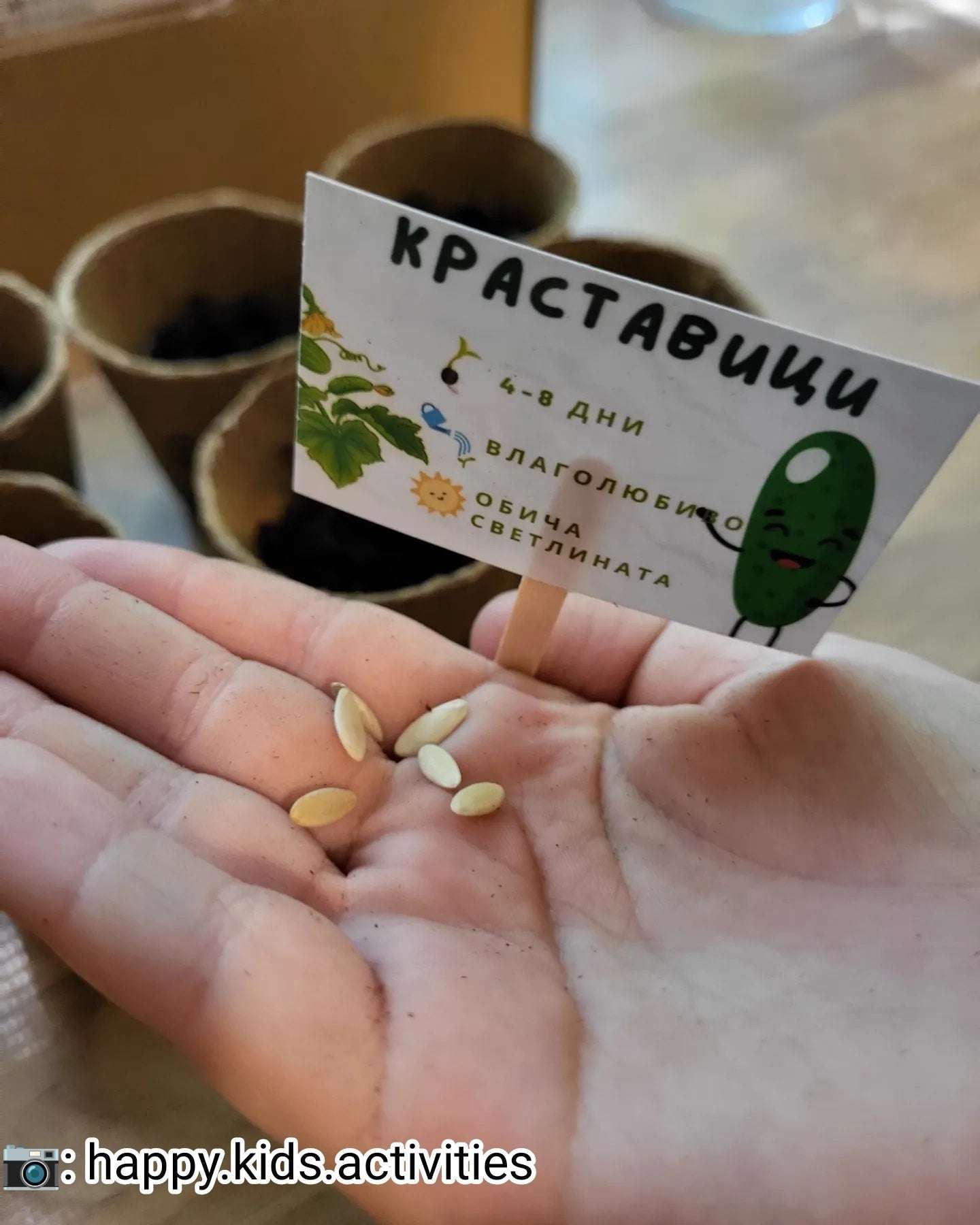 bulgarski - produkti - Детски комплект за засаждане на зеленчуци